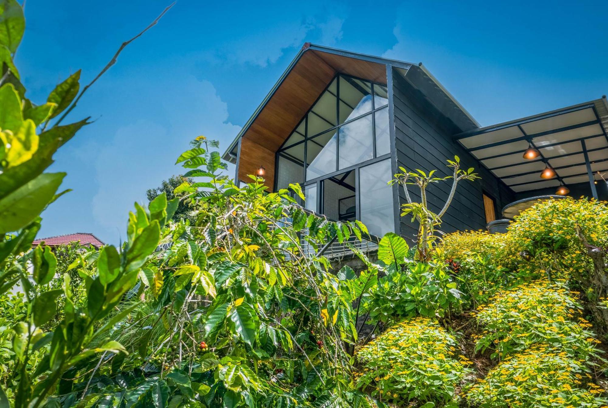 Alam Glamping * Munduk