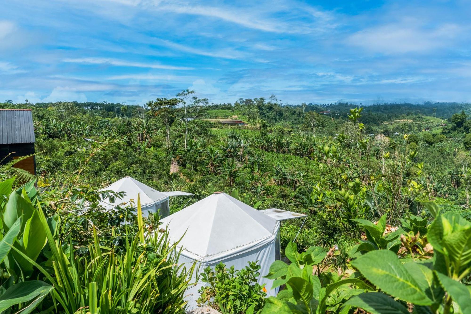 Campingplatz Alam Glamping Munduk