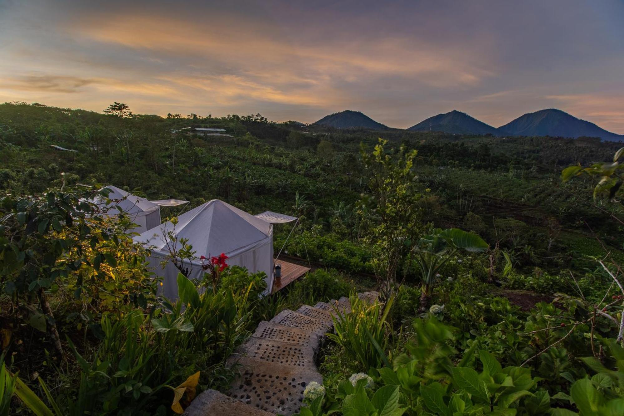 Alam Glamping Campingplatz